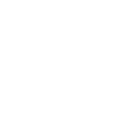 Jessie's seal