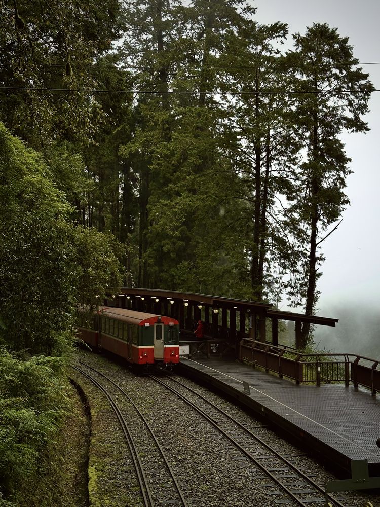 Alishan, Taiwan