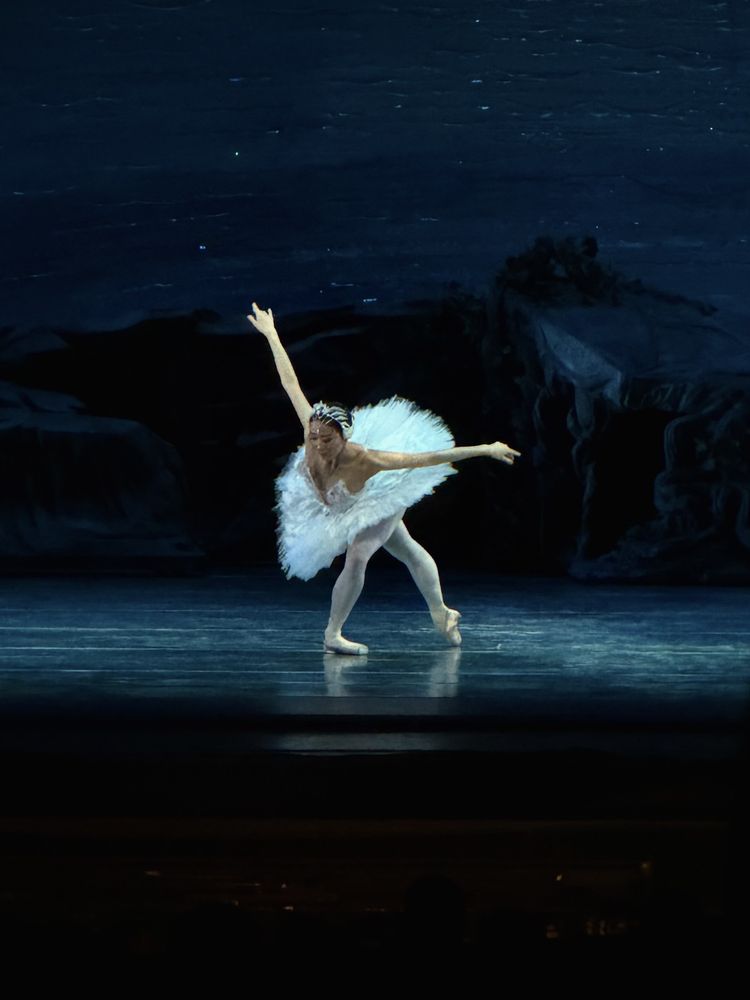 American Ballet Theatre • Swan Lake