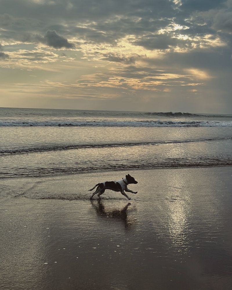 Bali • Batu Belig Beach