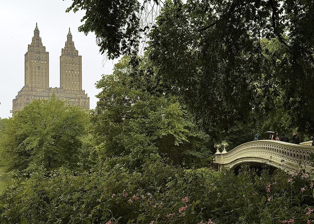 New York • Central Park