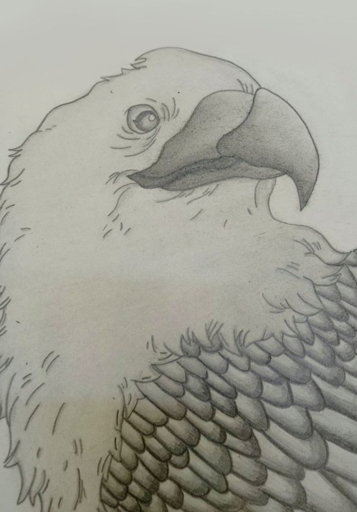 Pencil