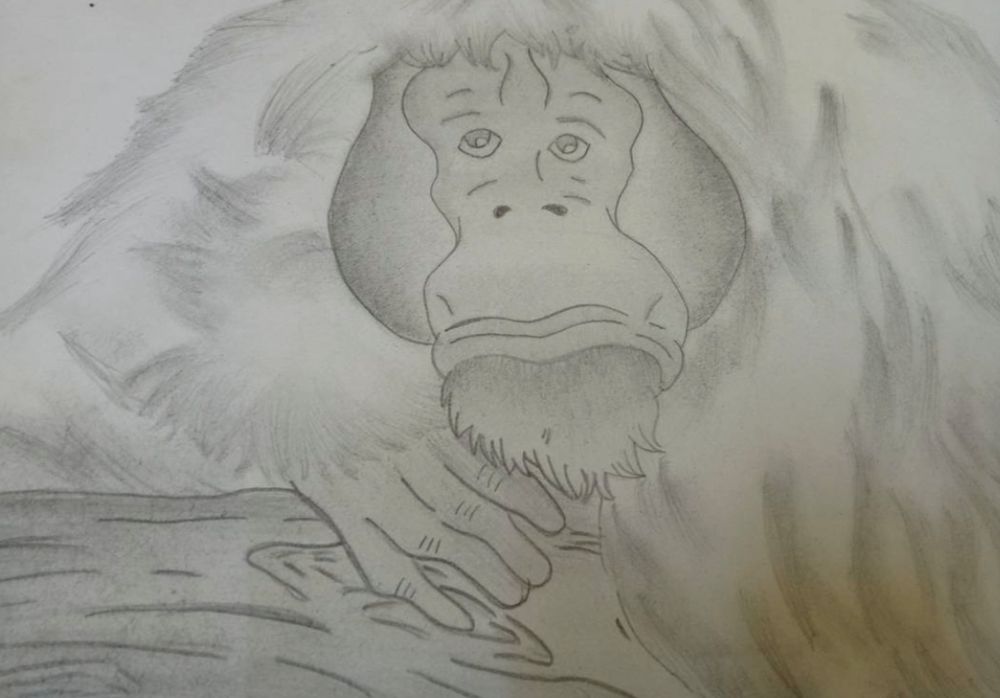 Pencil