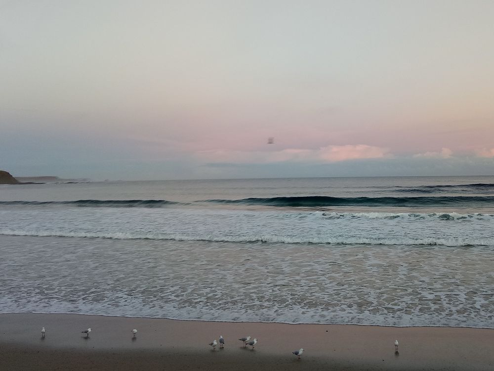 Phillip Island • Flynns Beach