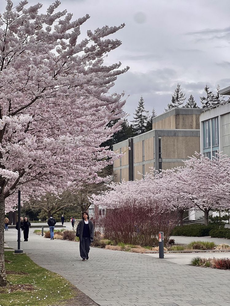 UBC