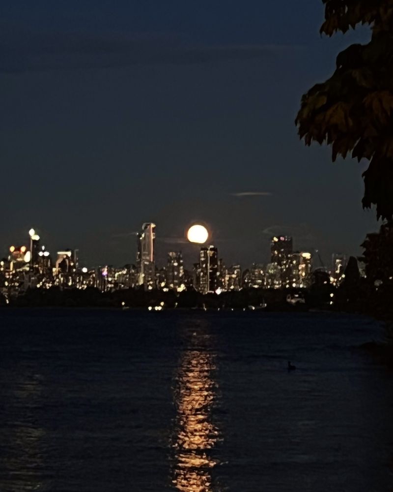 Vancouver • Jericho Beach