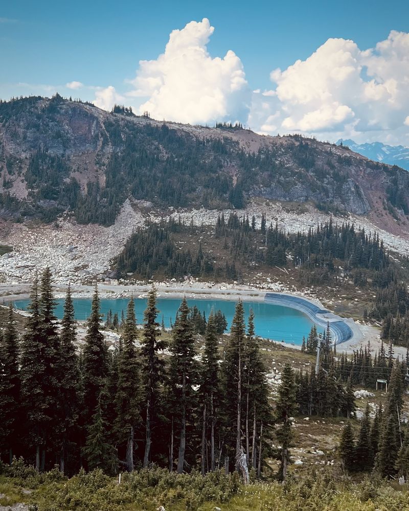 Whistler Mountain